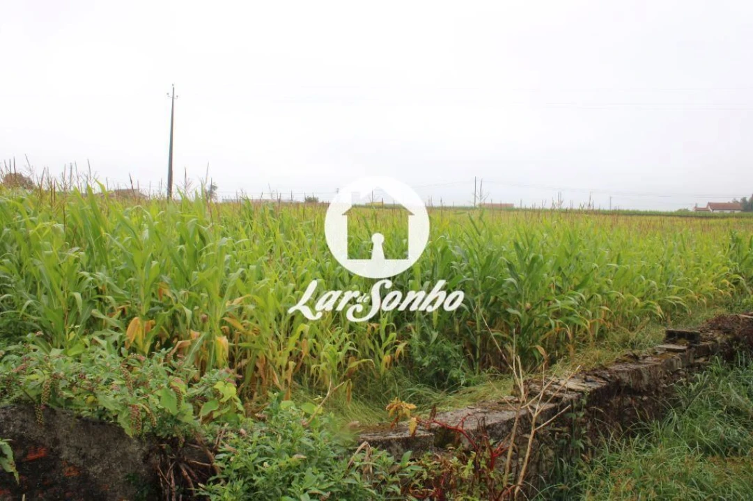 Terreno para Venda em Barqueiros Foto 1