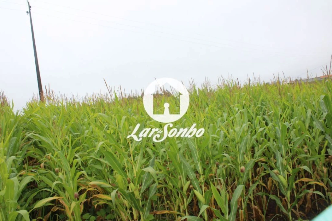 Terreno para Venda em Barqueiros Foto 2