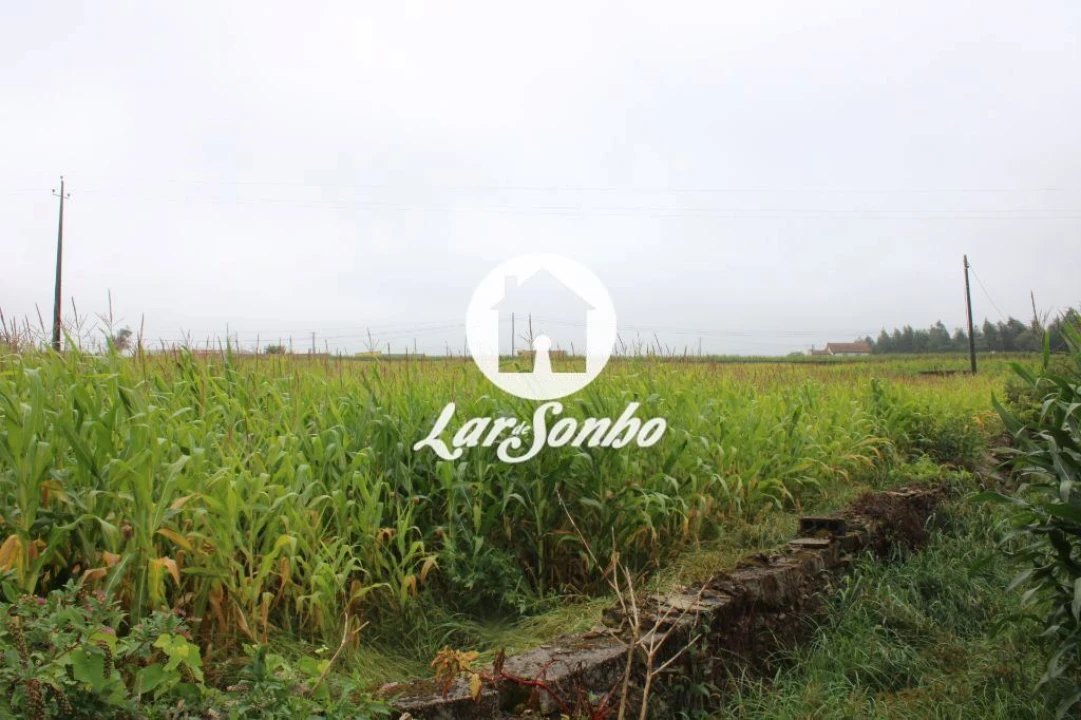 Terreno para Venda em Barqueiros Foto 4