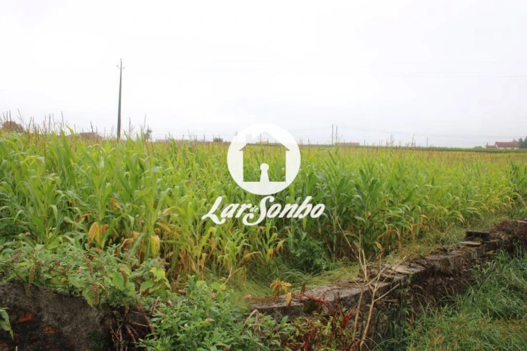 Terreno para Venda em Barqueiros Foto 1