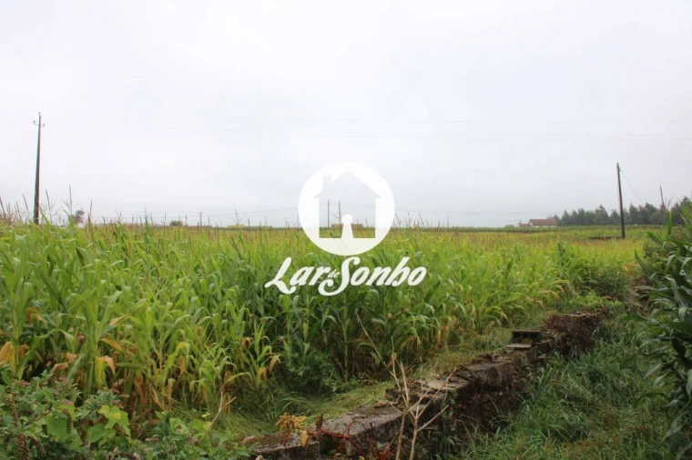 Terreno para Venda em Barqueiros Foto 4