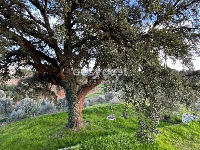 Quinta T4 para Venda em Parada de Gonta Foto 24