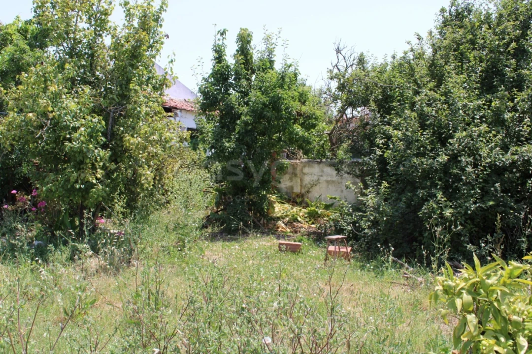 Terreno Misto para Venda em Aveiras de Cima Foto 11