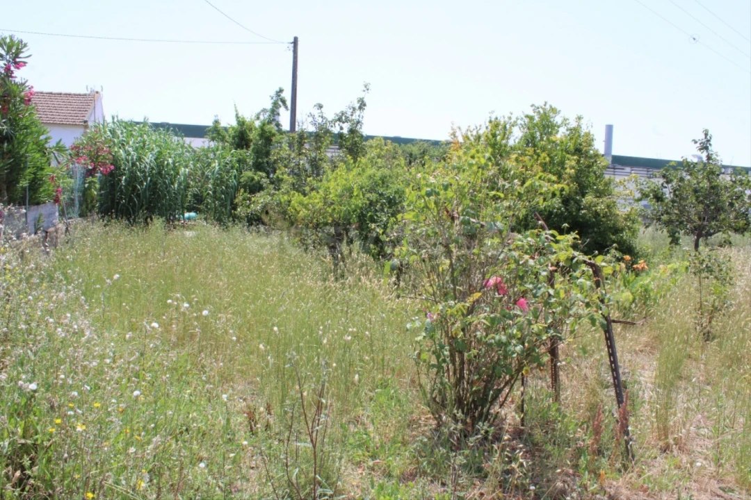 Terreno Misto para Venda em Aveiras de Cima Foto 14