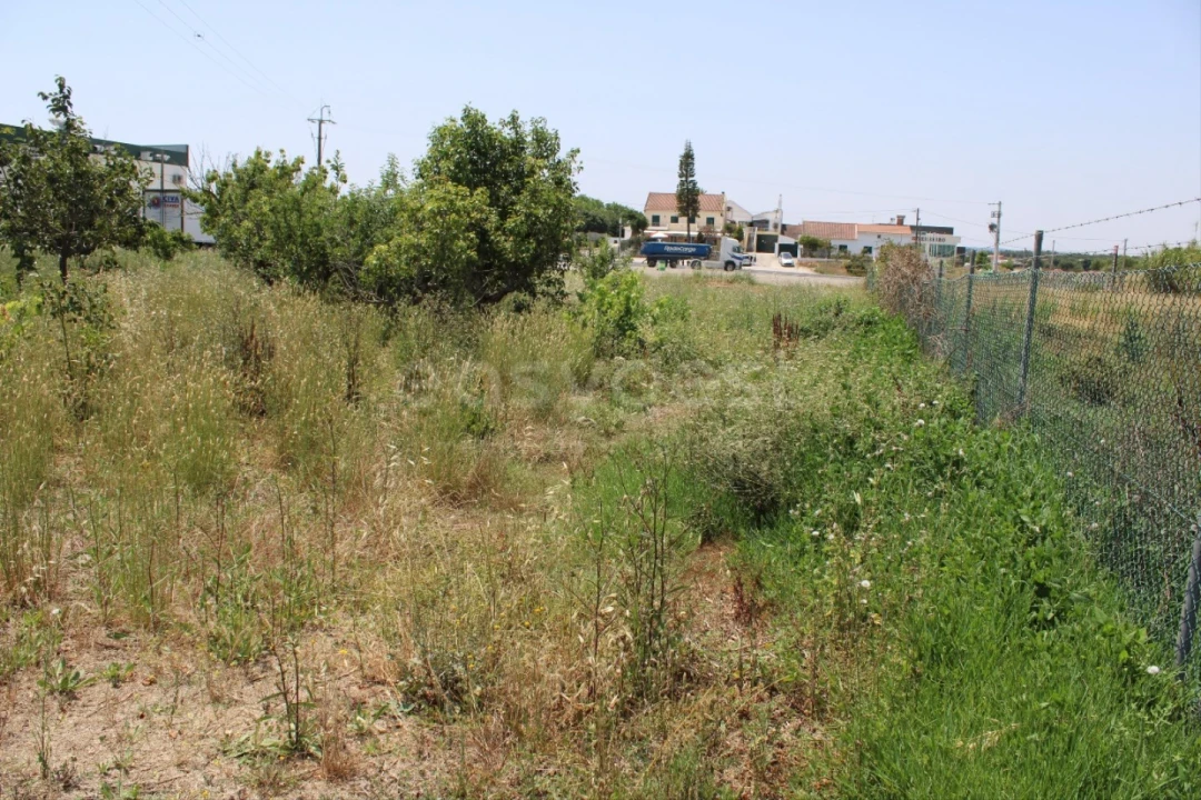 Terreno Misto para Venda em Aveiras de Cima Foto 15