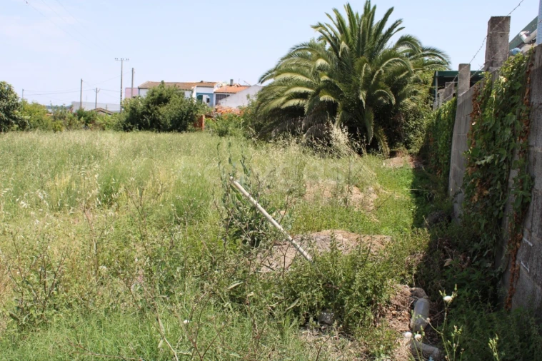 Terreno Misto para Venda em Aveiras de Cima Foto 3