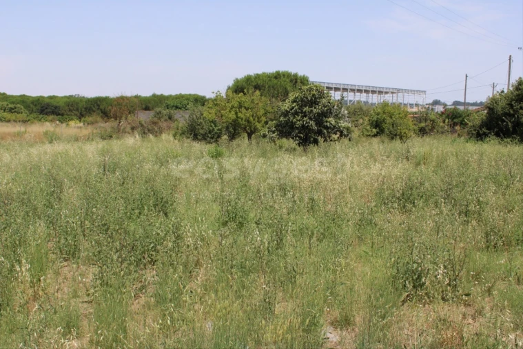 Terreno Misto para Venda em Aveiras de Cima Foto 5