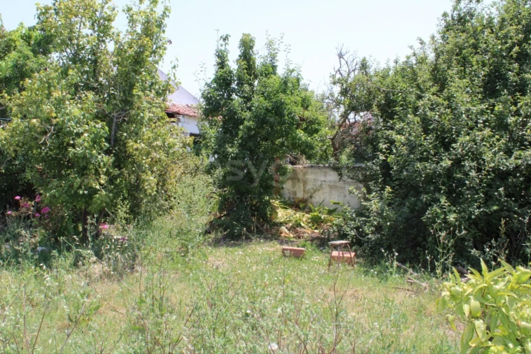 Terreno Misto para Venda em Aveiras de Cima Foto 10