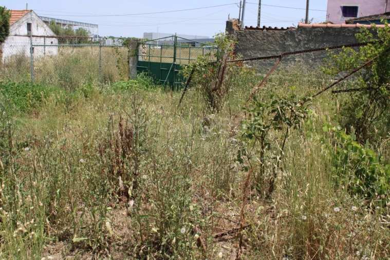 Terreno Misto para Venda em Aveiras de Cima Foto 12