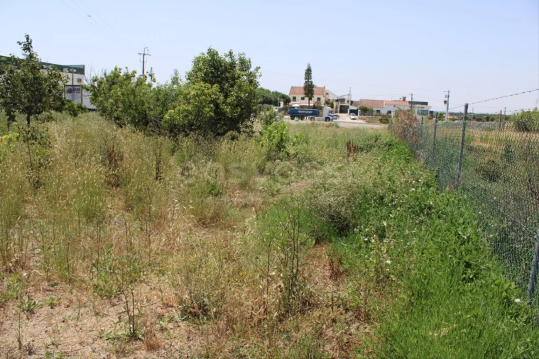 Terreno Misto para Venda em Aveiras de Cima Foto 15