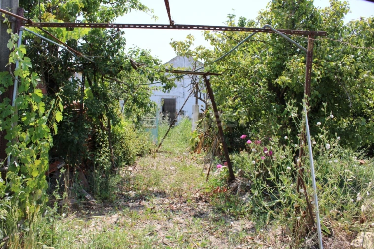 Terreno Misto para Venda em Aveiras de Cima Foto 16