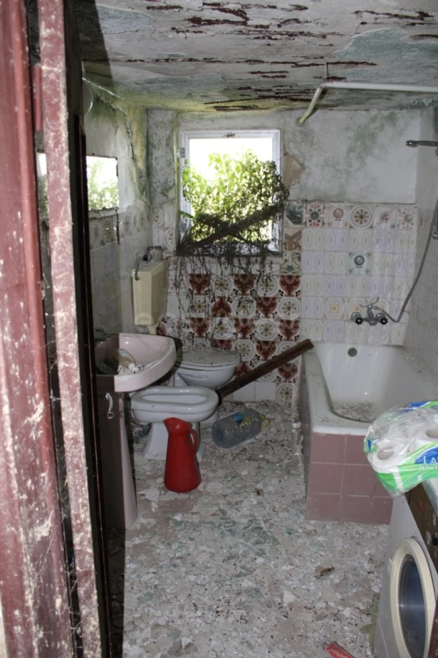 Terreno Misto para Venda em Aveiras de Cima Foto 24