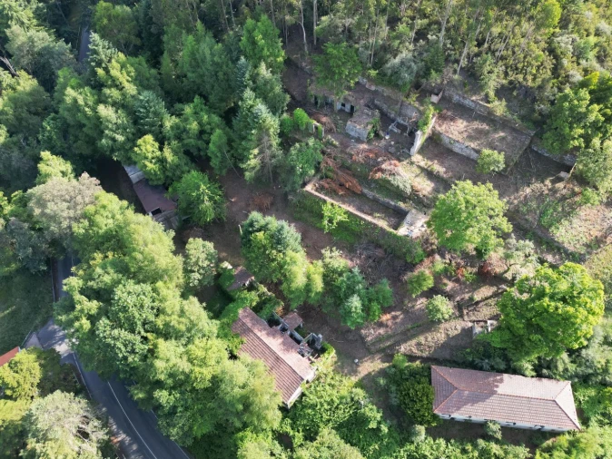 Quinta T7 para Venda em Ruivães e Campos Foto 7