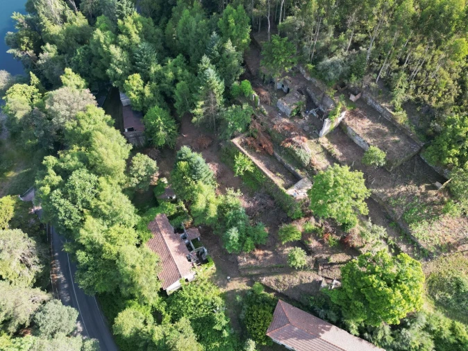 Quinta T7 para Venda em Ruivães e Campos Foto 6