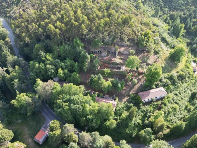 Quinta T7 para Venda em Ruivães e Campos Foto 25