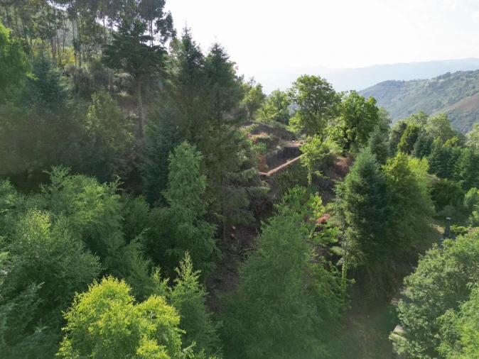 Quinta T7 para Venda em Ruivães e Campos Foto 18