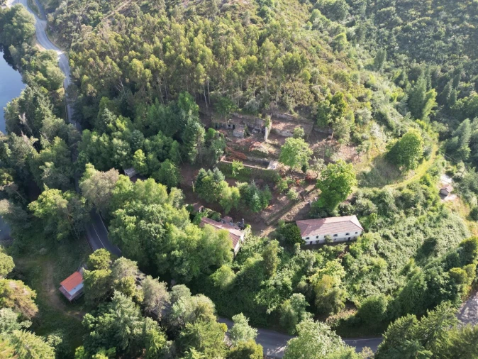 Quinta T7 para Venda em Ruivães e Campos Foto 24