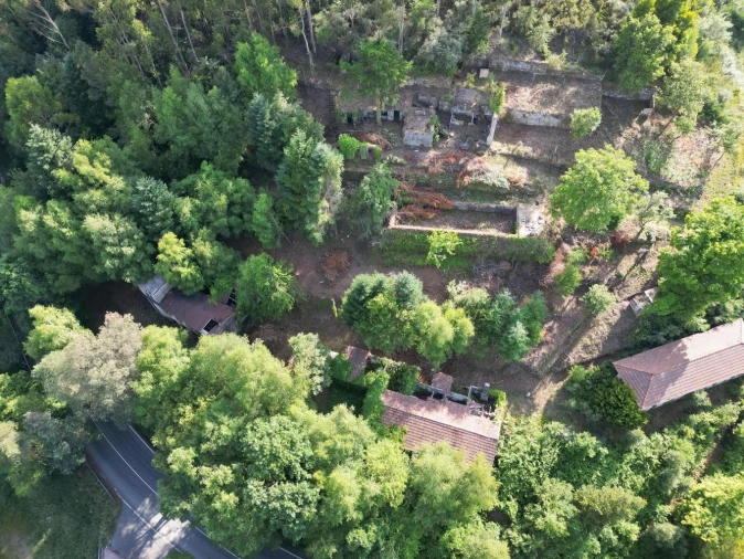 Quinta T7 para Venda em Ruivães e Campos Foto 8