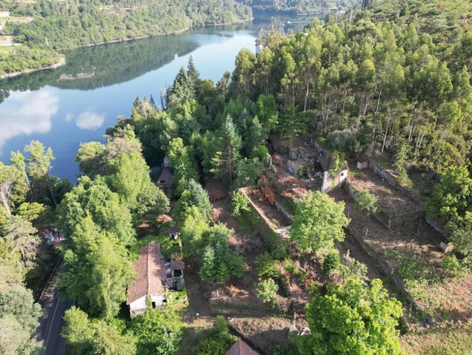 Quinta T7 para Venda em Ruivães e Campos Foto 2