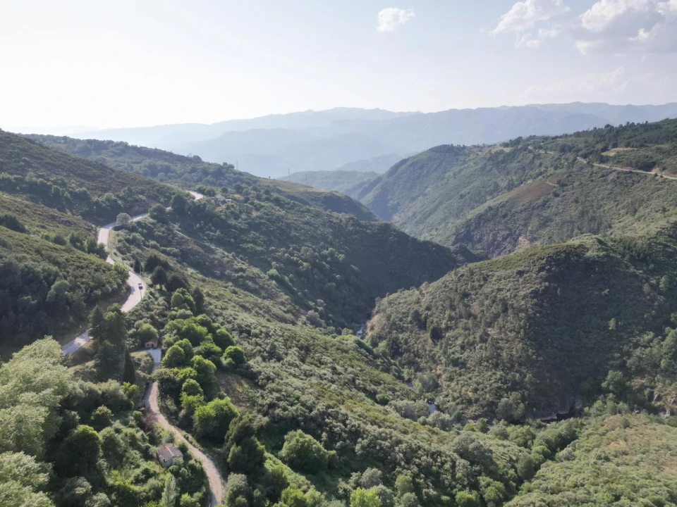 Quinta T7 para Venda em Ruivães e Campos Foto 20