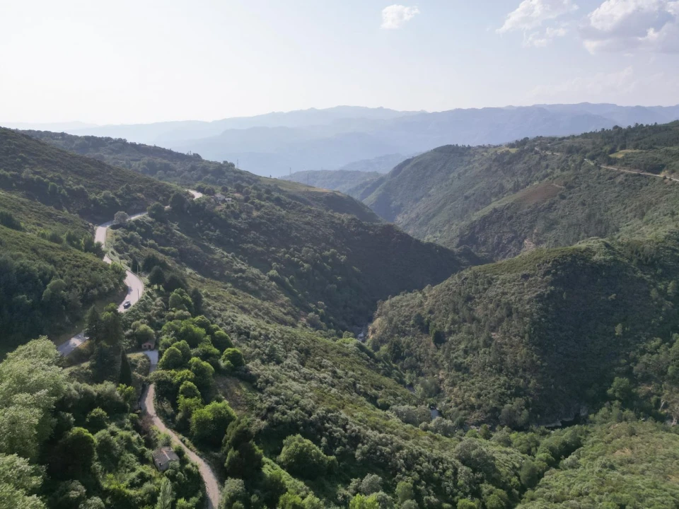 Quinta T7 para Venda em Ruivães e Campos Foto 19
