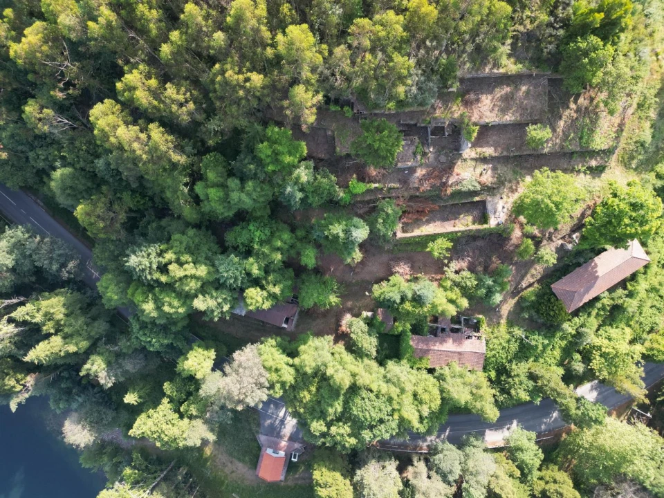 Quinta T7 para Venda em Ruivães e Campos Foto 10