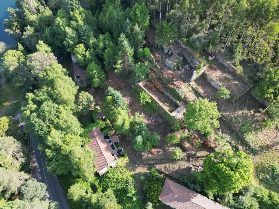 Quinta T7 para Venda em Ruivães e Campos Foto 6