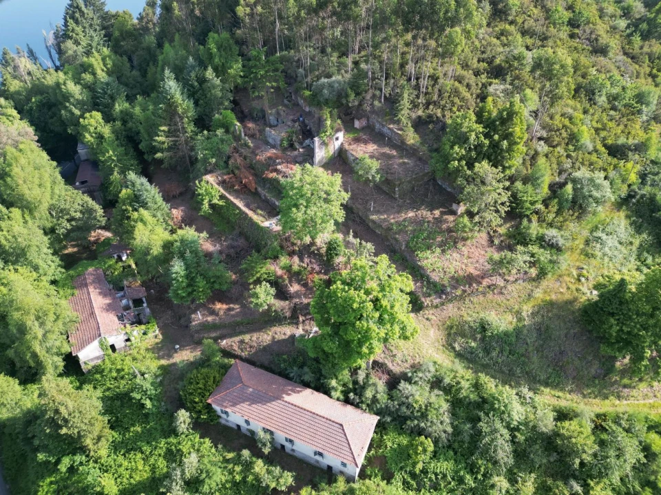 Quinta T7 para Venda em Ruivães e Campos Foto 3