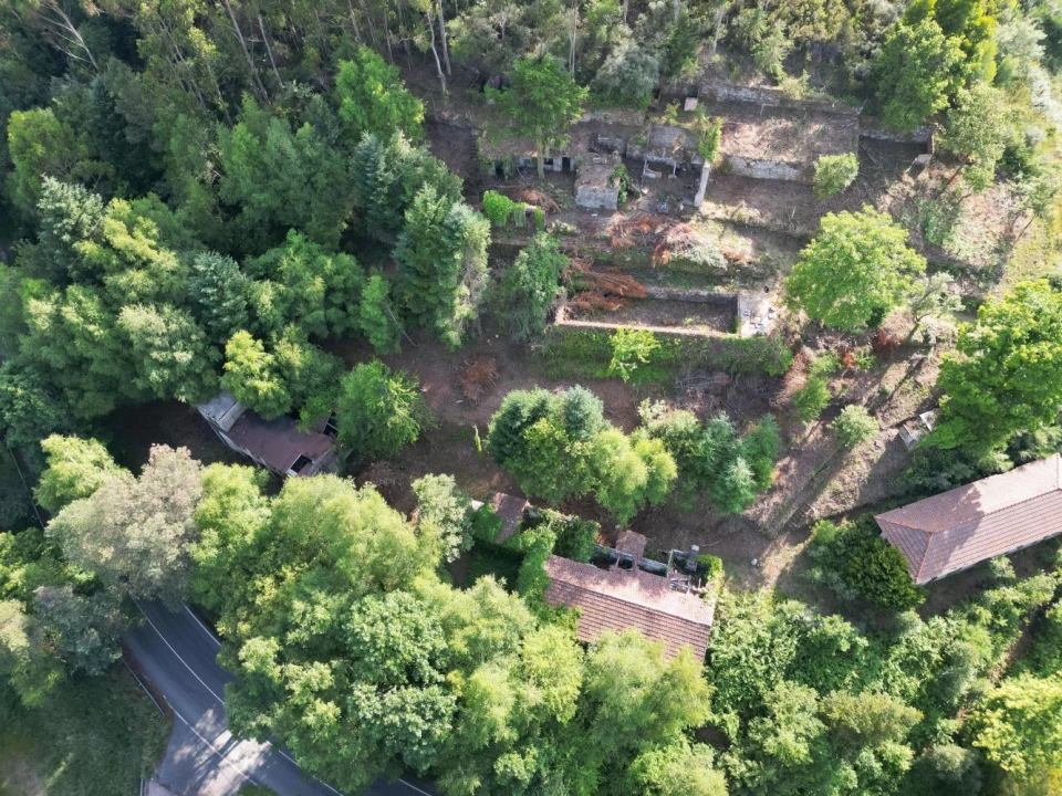 Quinta T7 para Venda em Ruivães e Campos Foto 8