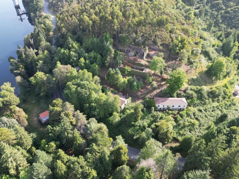 Quinta T7 para Venda em Ruivães e Campos Foto 23