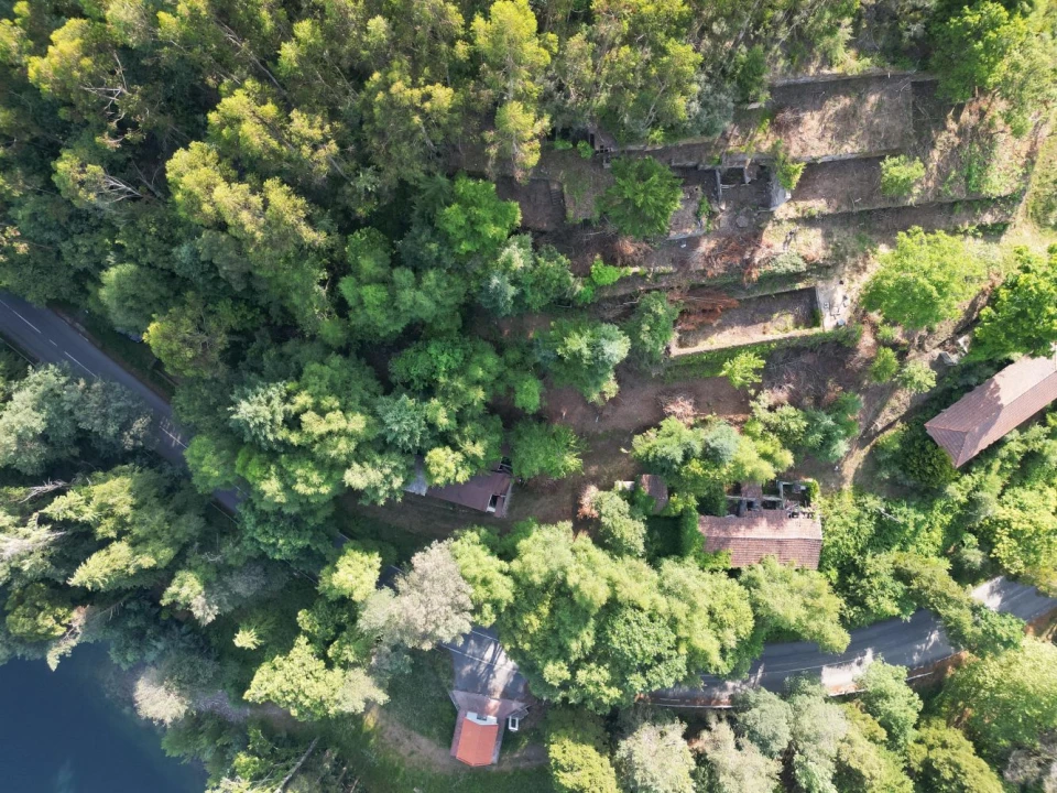 Quinta T7 para Venda em Ruivães e Campos Foto 9