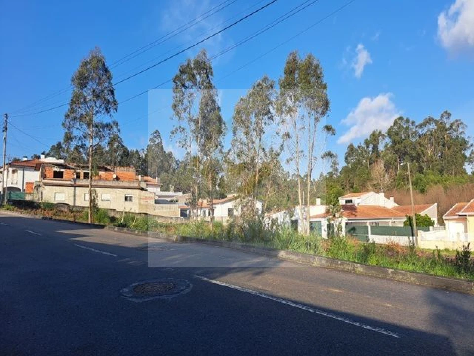 Terreno para Venda em Rio Meão Foto 3