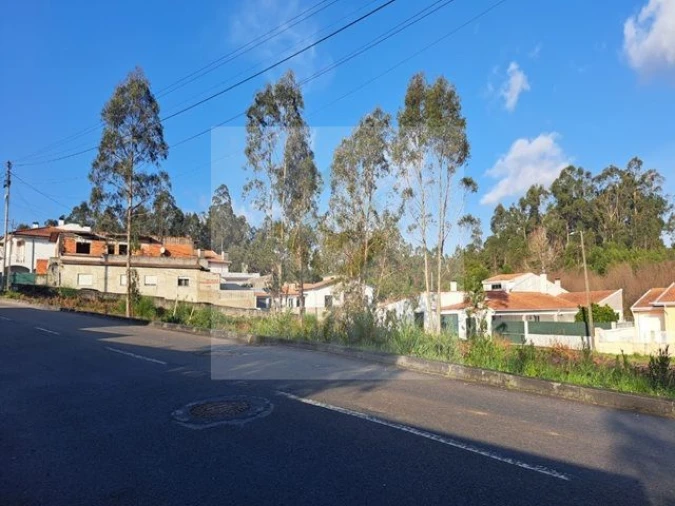 Terreno para Venda em Rio Meão Foto 3