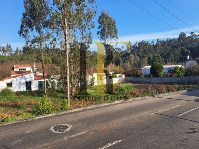 Terreno para Venda em Rio Meão Foto 4