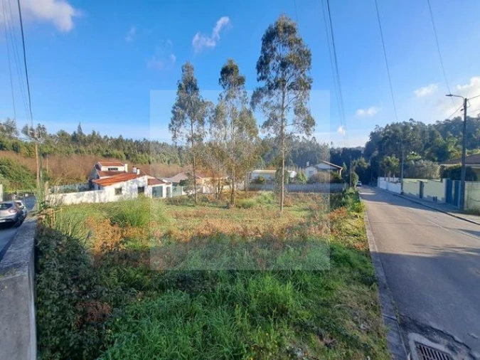 Terreno para Venda em Rio Meão Foto 5