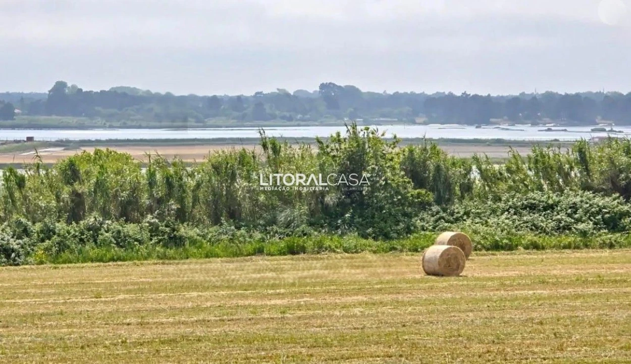 Moradia T4 para Venda em Aradas Foto 18