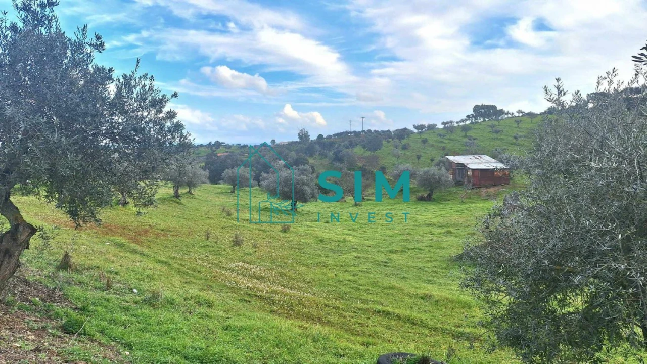 Quinta T5 para Venda em Santiago Maior Foto 37