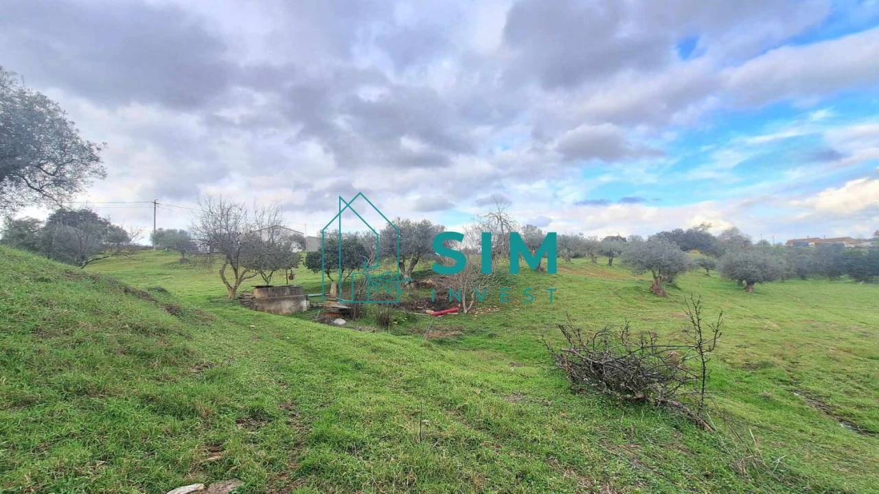 Quinta T5 para Venda em Santiago Maior Foto 44