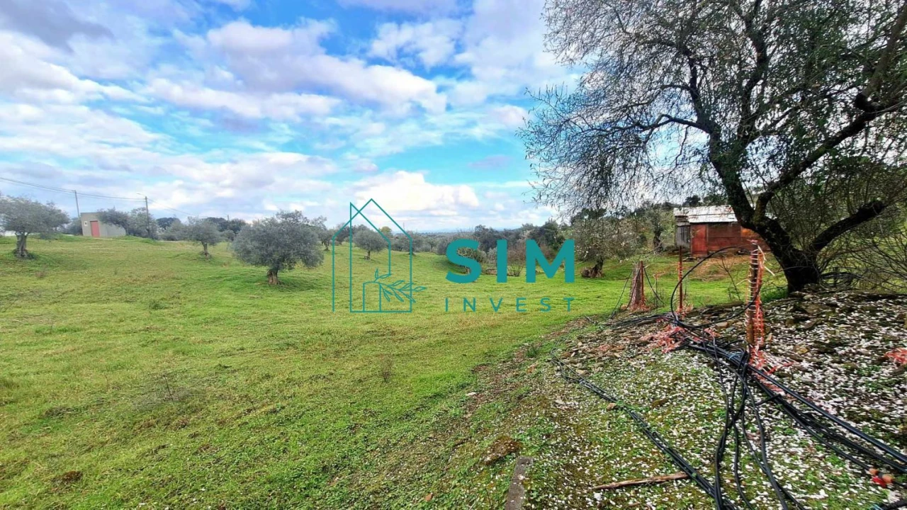 Quinta T5 para Venda em Santiago Maior Foto 12