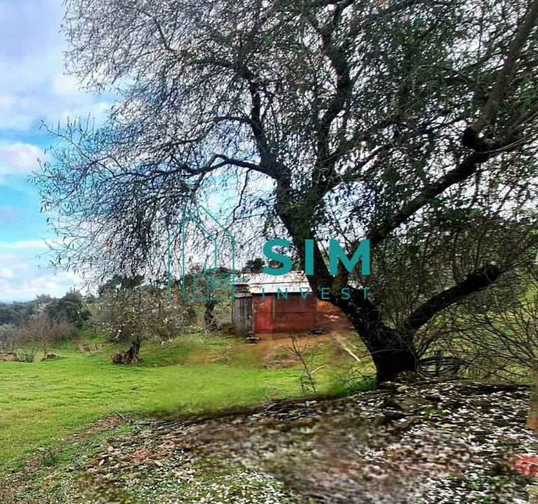 Quinta T5 para Venda em Santiago Maior Foto 43