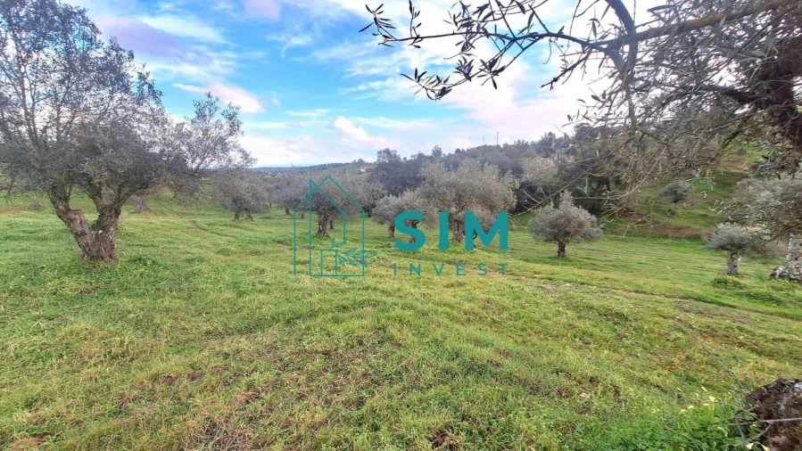 Quinta T5 para Venda em Santiago Maior Foto 46