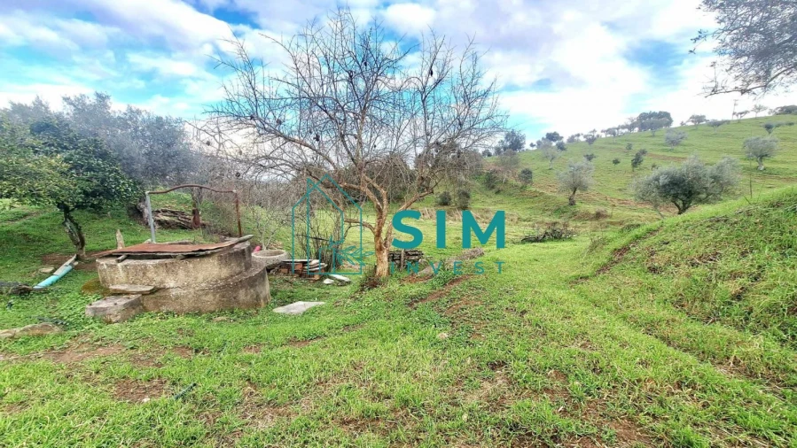 Quinta T5 para Venda em Santiago Maior Foto 18