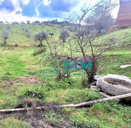 Quinta T5 para Venda em Santiago Maior Foto 41