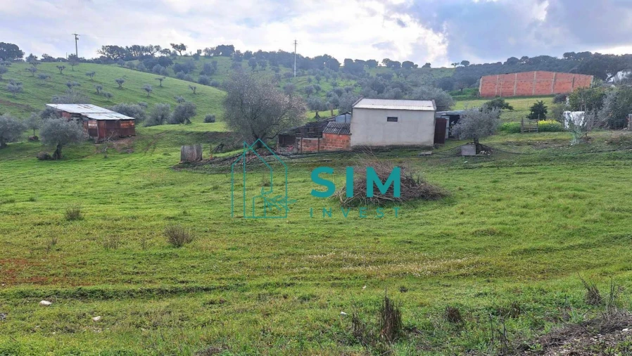 Quinta T5 para Venda em Santiago Maior Foto 35