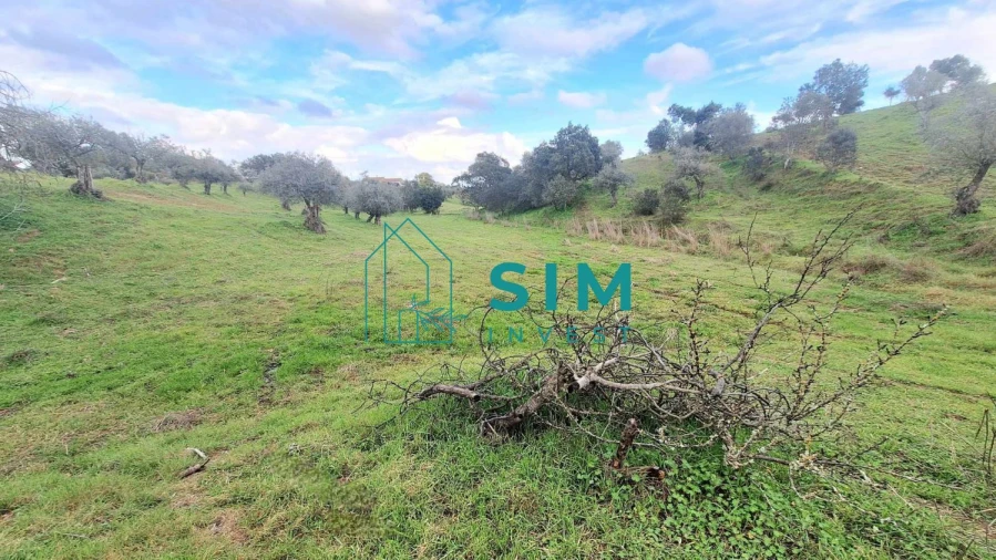 Quinta T5 para Venda em Santiago Maior Foto 32