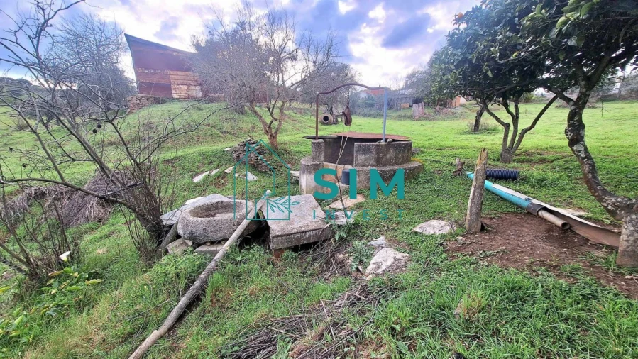 Quinta T5 para Venda em Santiago Maior Foto 33