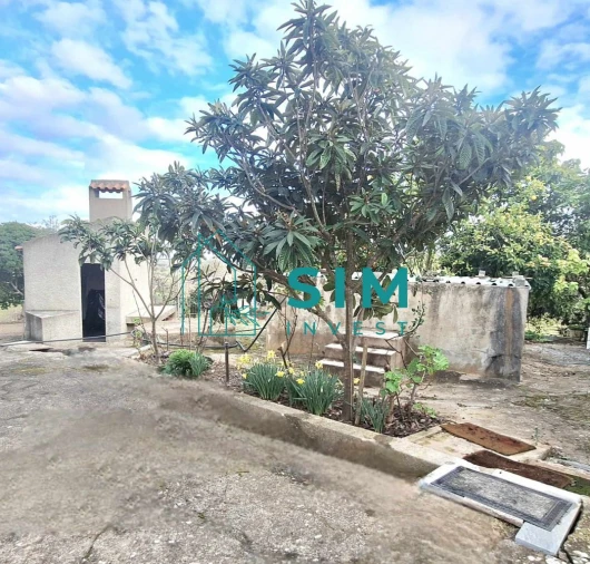 Quinta T5 para Venda em Santiago Maior Foto 10