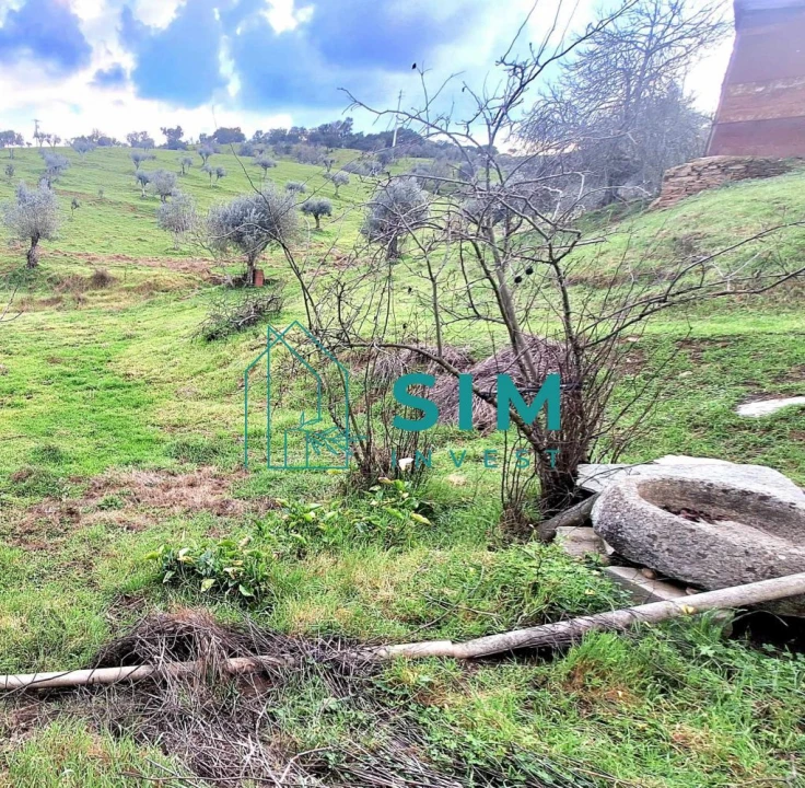 Quinta T5 para Venda em Santiago Maior Foto 41