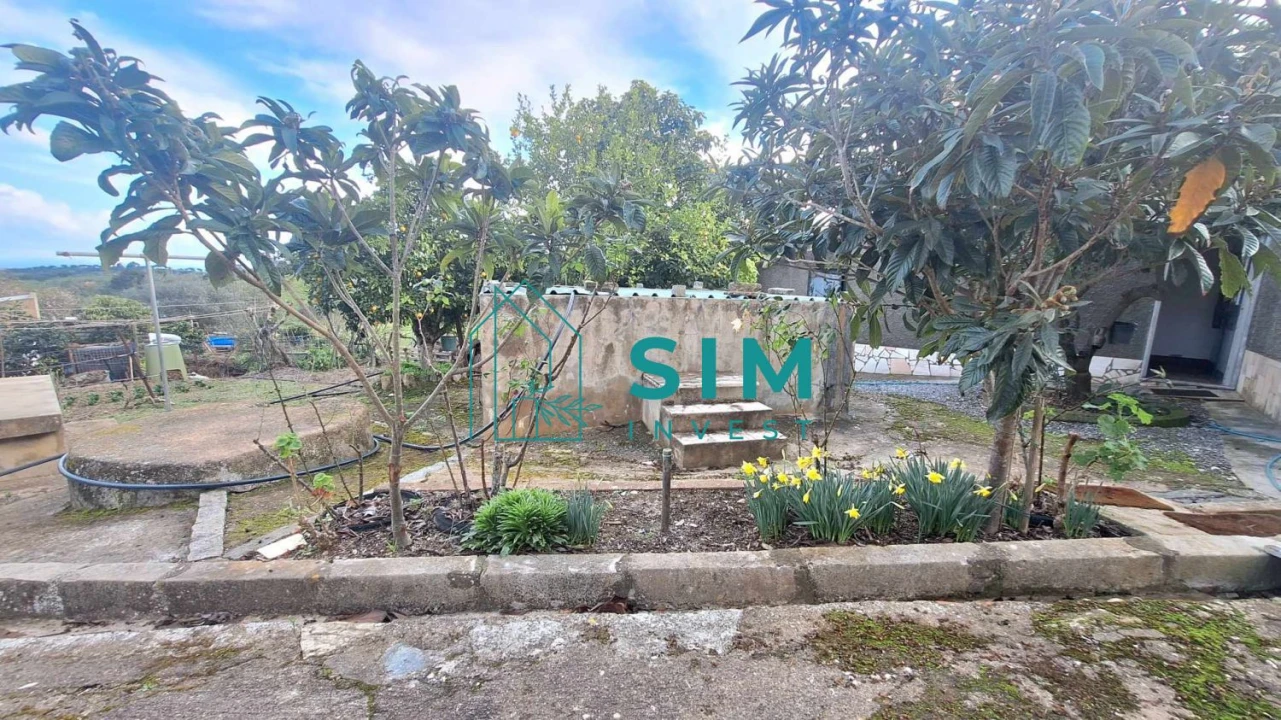 Quinta T5 para Venda em Santiago Maior Foto 40