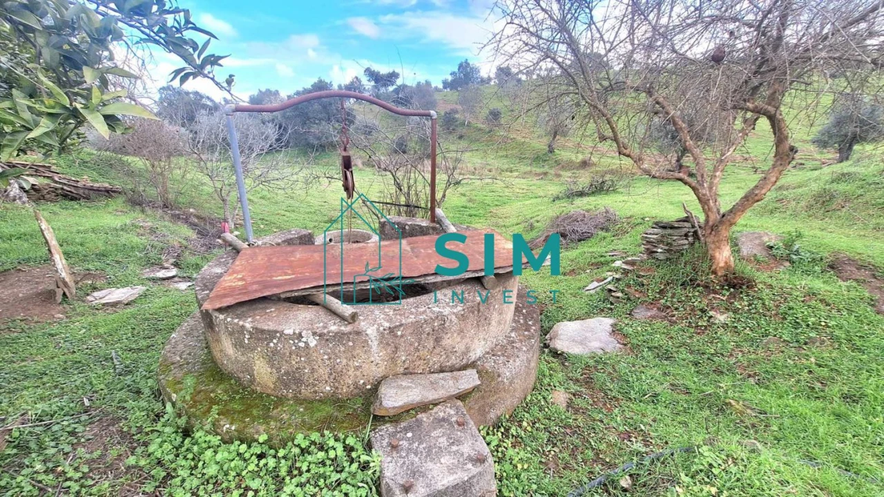 Quinta T5 para Venda em Santiago Maior Foto 19